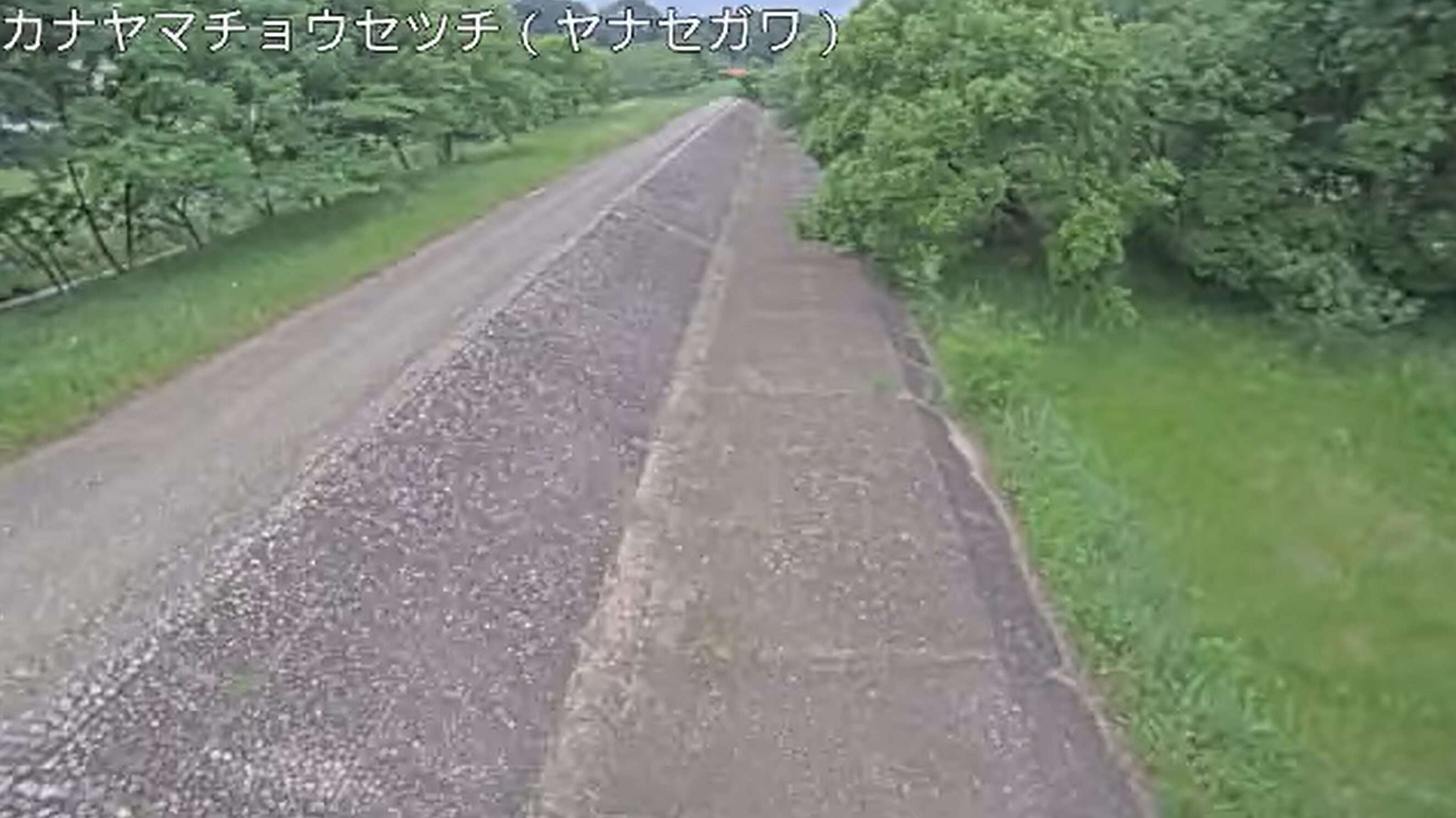 柳瀬川金山池ライブカメラ(東京都清瀬市中里)