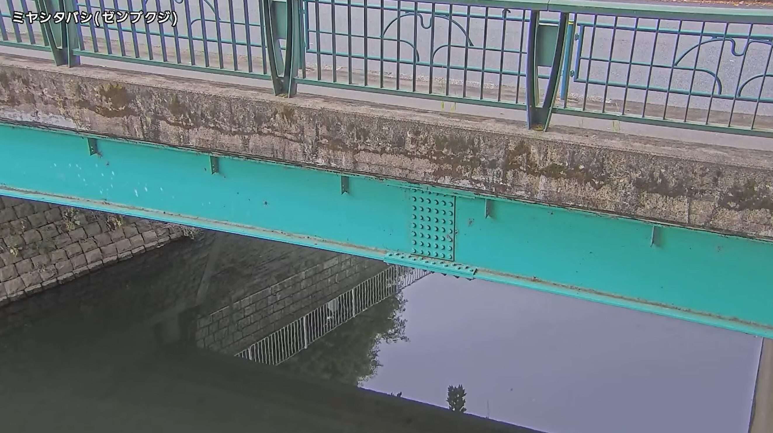 善福寺川宮下橋ライブカメラ(東京都杉並区大宮)