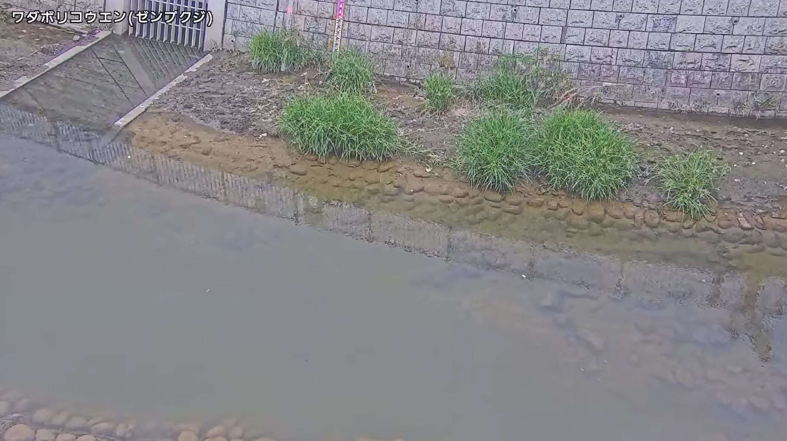 善福寺川和田堀公園調節池ライブカメラ(東京都杉並区松ノ木)