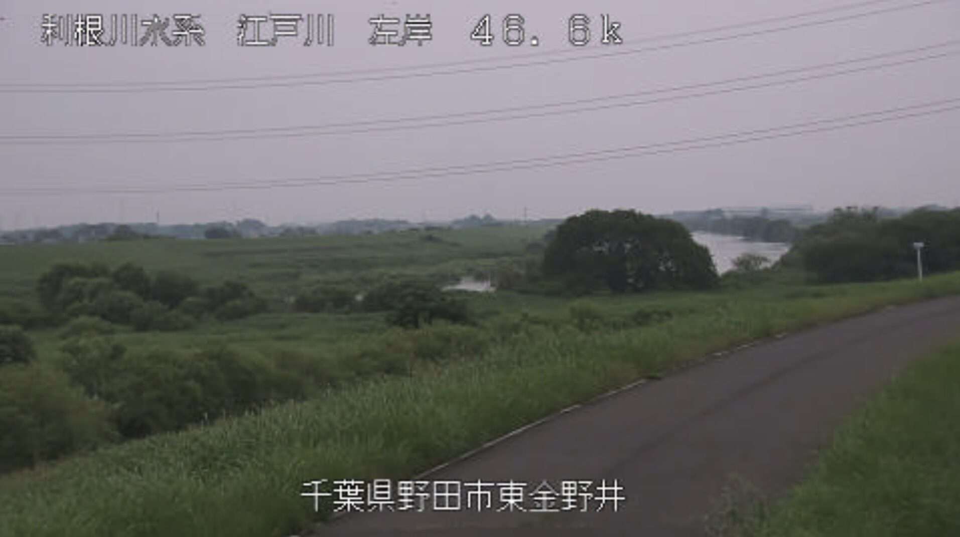 江戸川東金野井ライブカメラ(千葉県野田市東金野井)