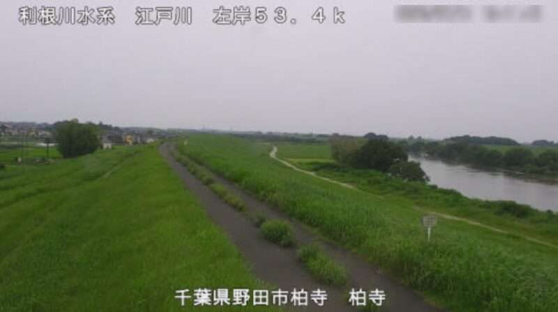 江戸川柏寺ライブカメラ(千葉県野田市柏寺)