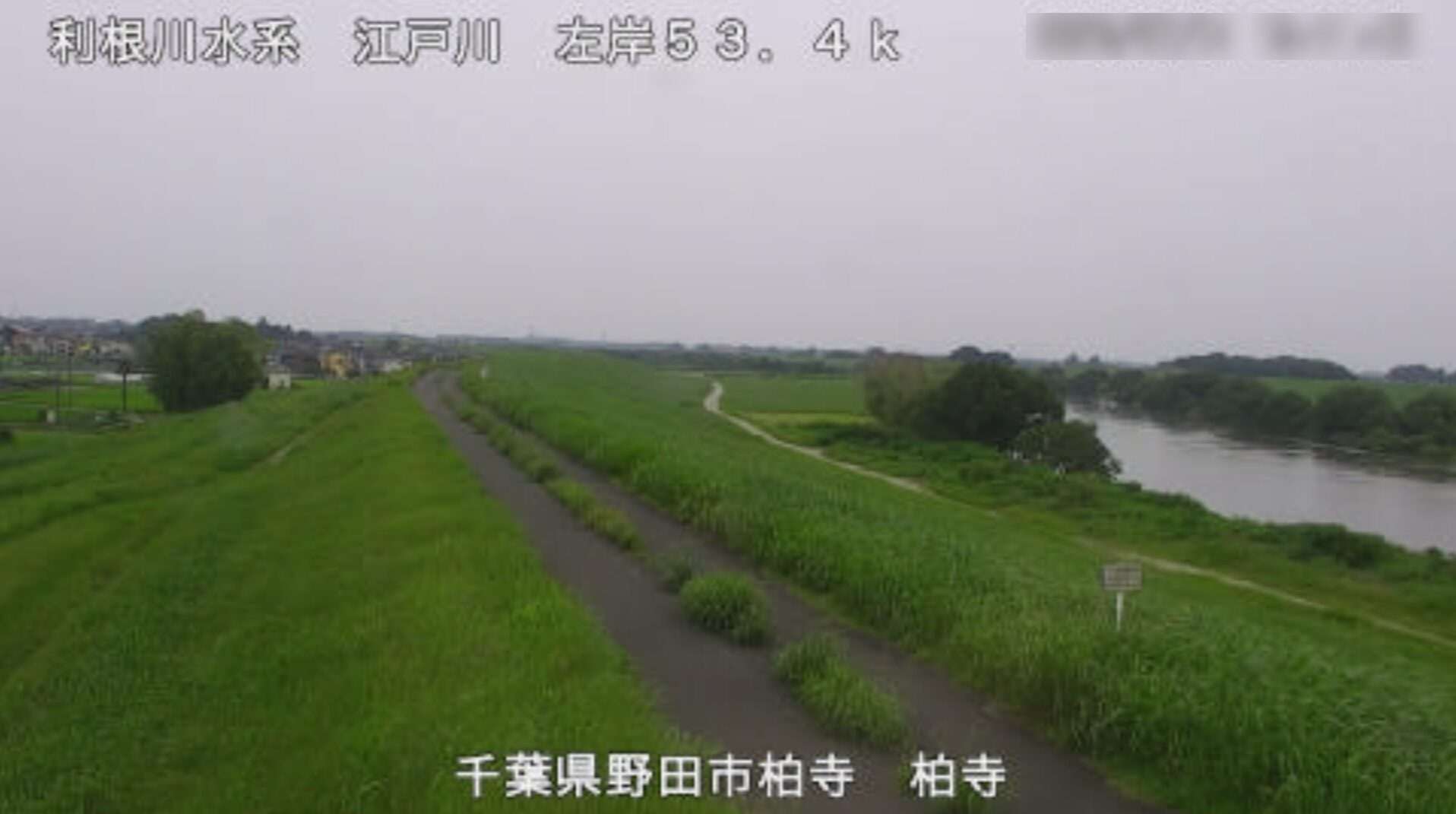 江戸川柏寺ライブカメラ(千葉県野田市柏寺)