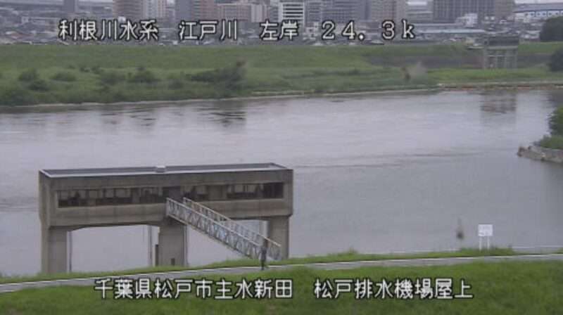 江戸川松戸排水機場屋上ライブカメラ(千葉県松戸市主水新田)