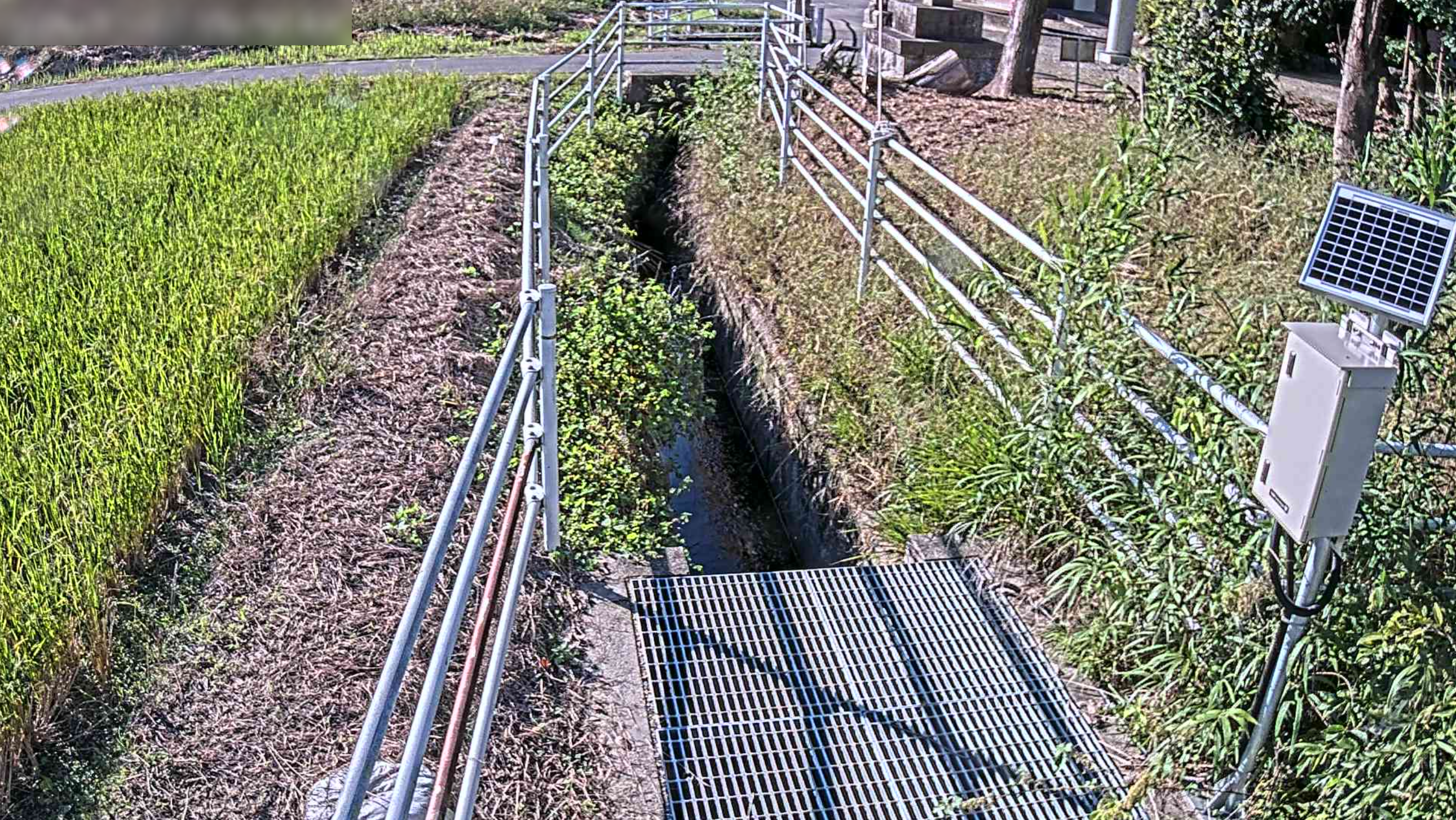今町排水路神明排水樋門ライブカメラ(愛知県豊田市今町)