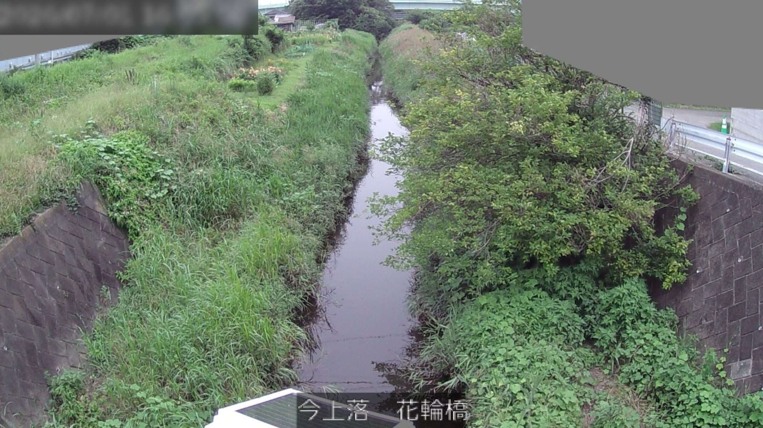 今上落花輪橋ライブカメラ(千葉県流山市下花輪)