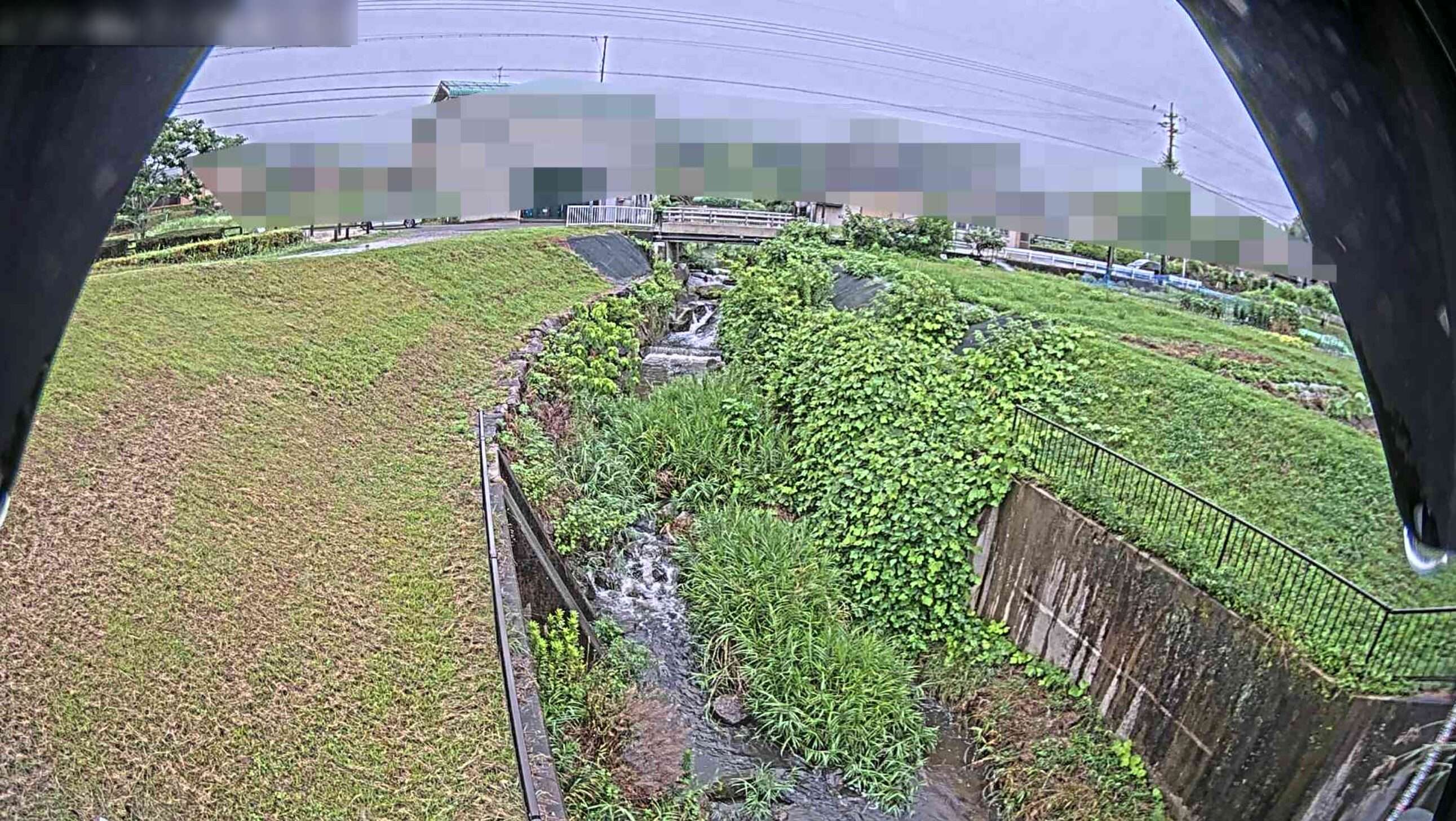 岩本川岩本川樋門ライブカメラ(愛知県豊田市扶桑町)