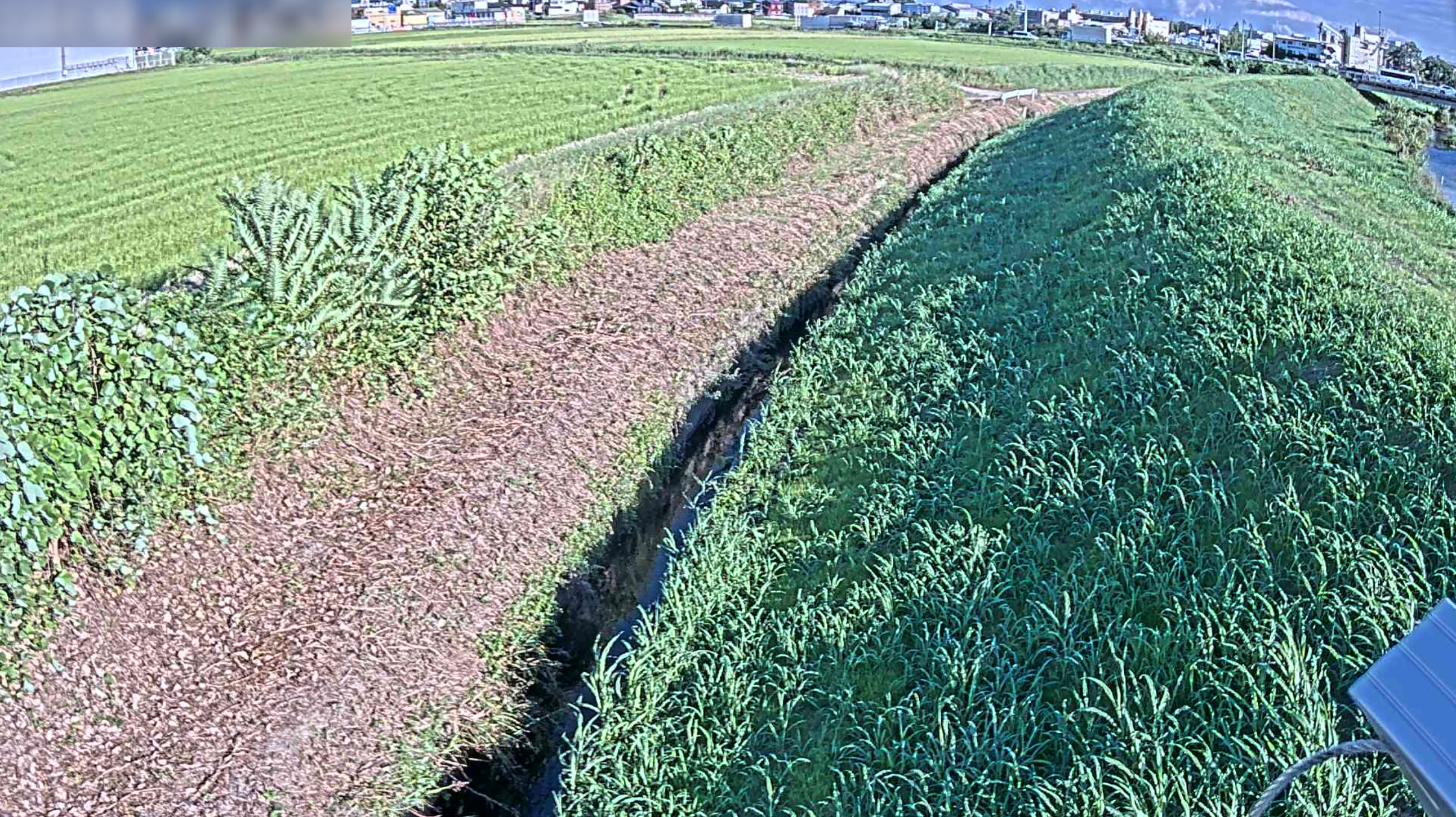 駒場川駒場川樋門ライブカメラ(愛知県豊田市駒場町)
