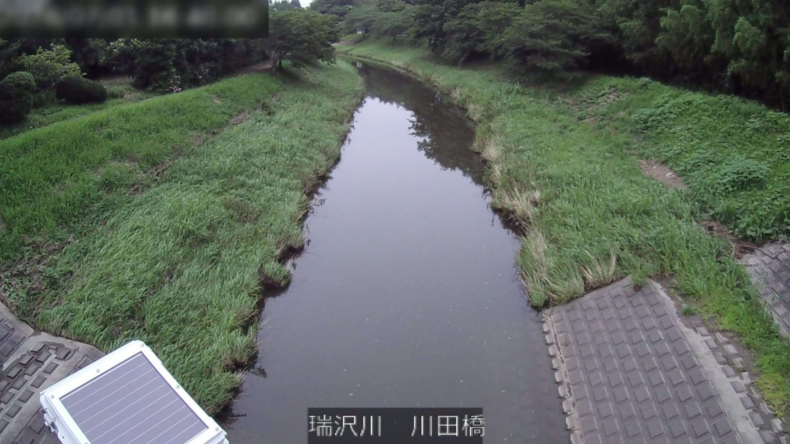 瑞沢川川田橋ライブカメラ(千葉県睦沢町上之郷)