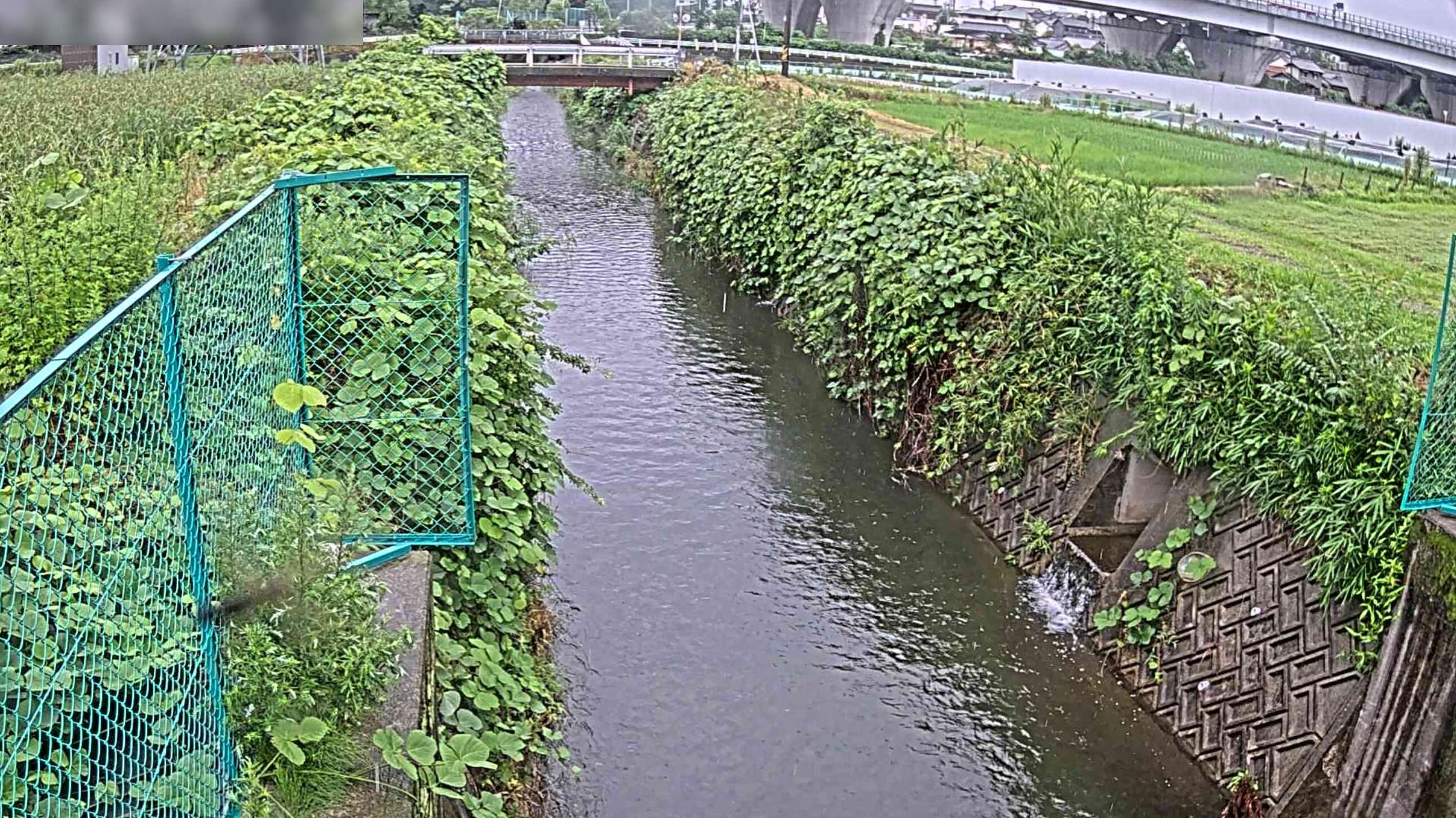 大谷川大谷川排水樋門ライブカメラ(愛知県豊田市渡刈町)