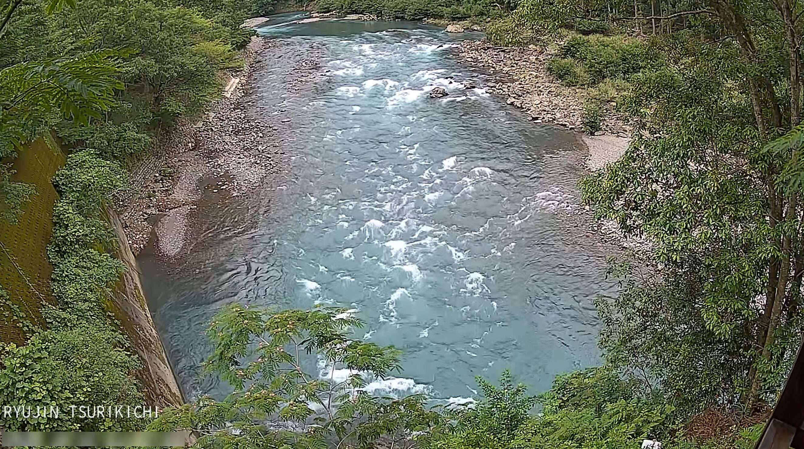 龍神つり吉日高川ライブカメラ(和歌山県田辺市龍神村廣井原)