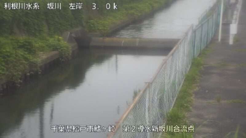 坂川放水路第2導水新坂川合流点ライブカメラ(千葉県松戸市横須賀)