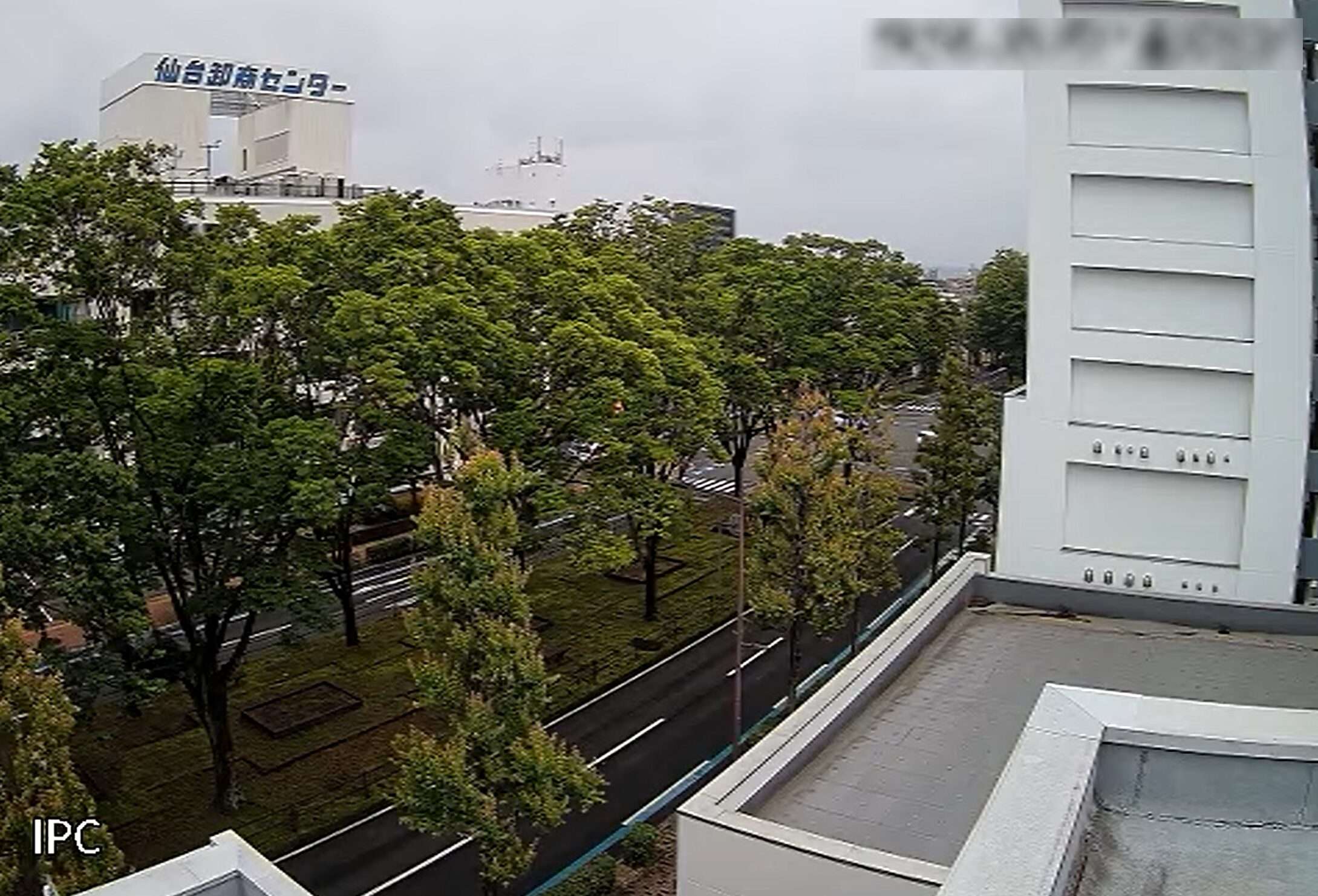 仙台測器社卸商センター前交差点付近ライブカメラ(宮城県仙台市若林区卸町)