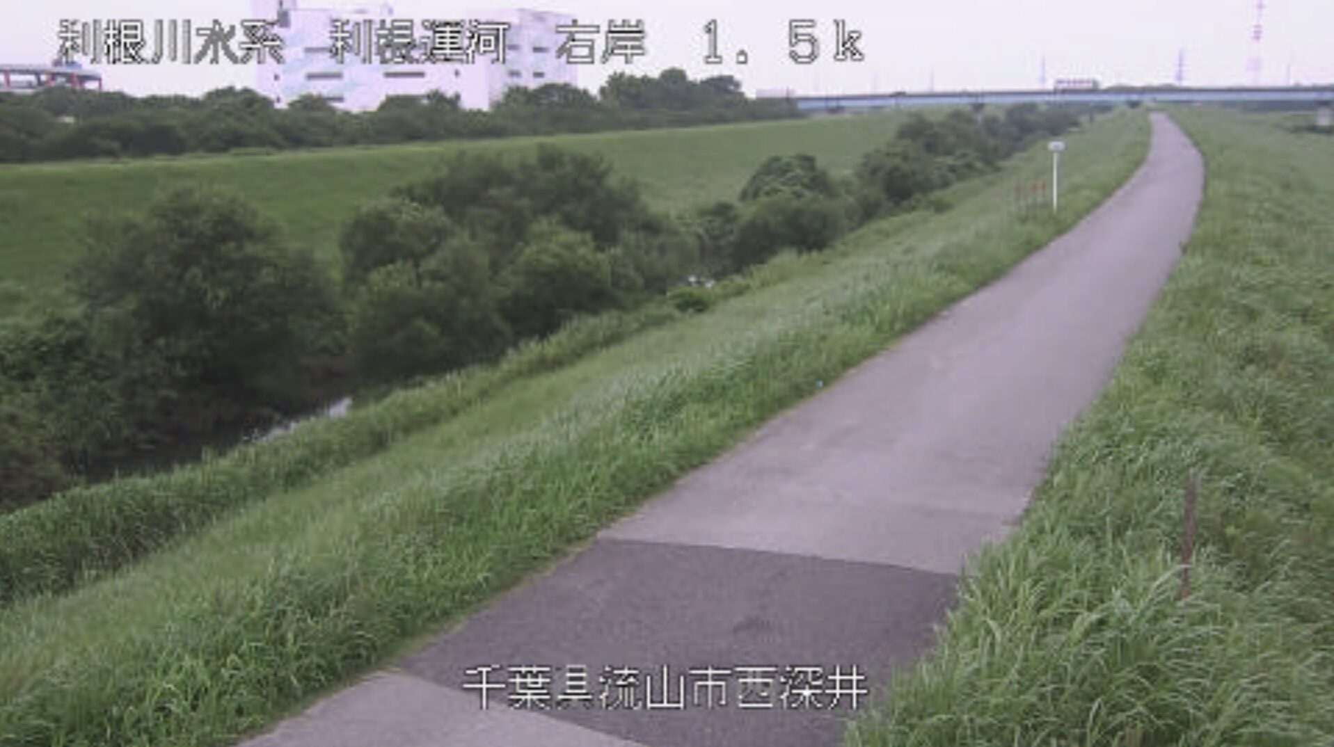 利根運河西深井ライブカメラ(千葉県流山市西深井)