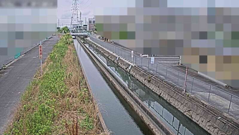 善太川埋田橋ライブカメラ(愛知県津島市埋田町)
