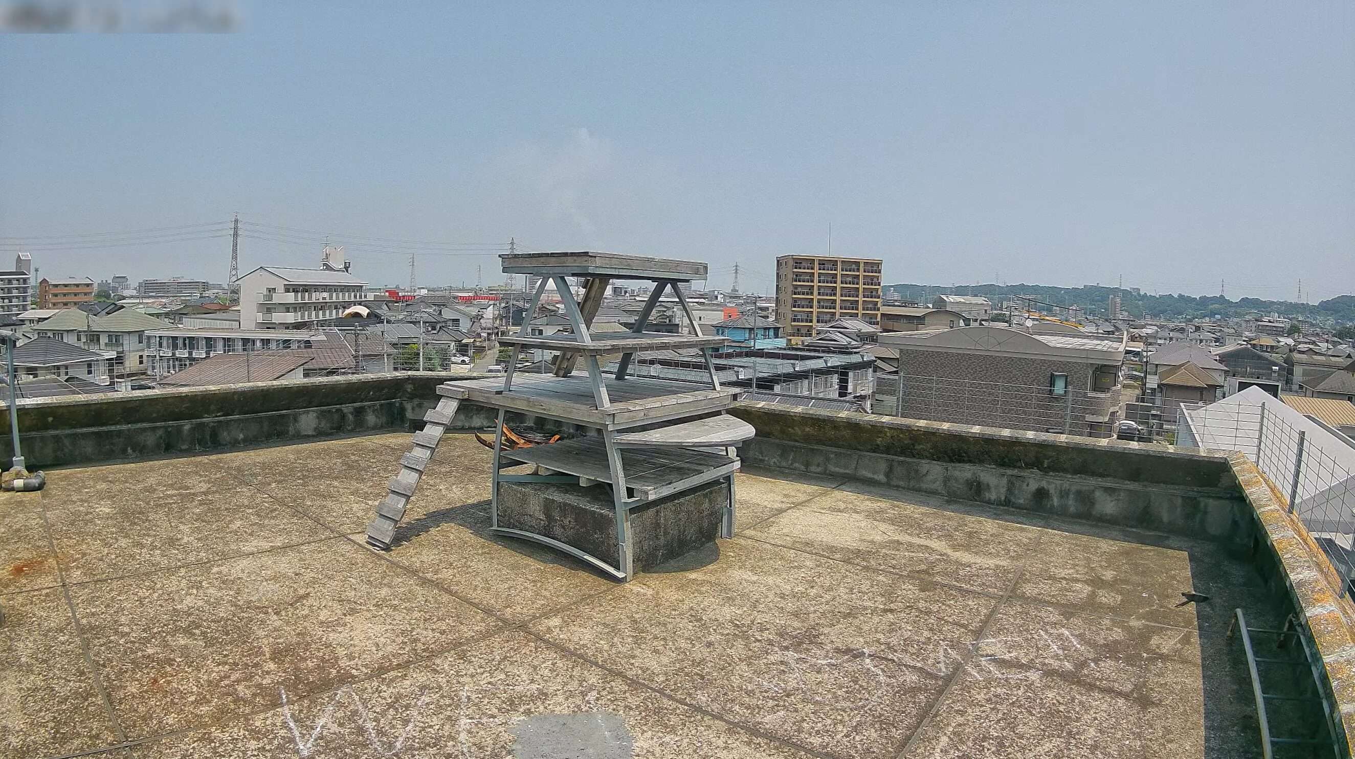 いかりやま温泉屋上キャットタワーライブカメラ(大分県大分市片島)
