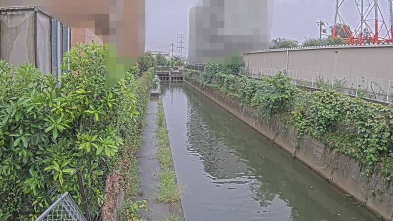 地金堀ライブカメラ(千葉県柏市根戸)