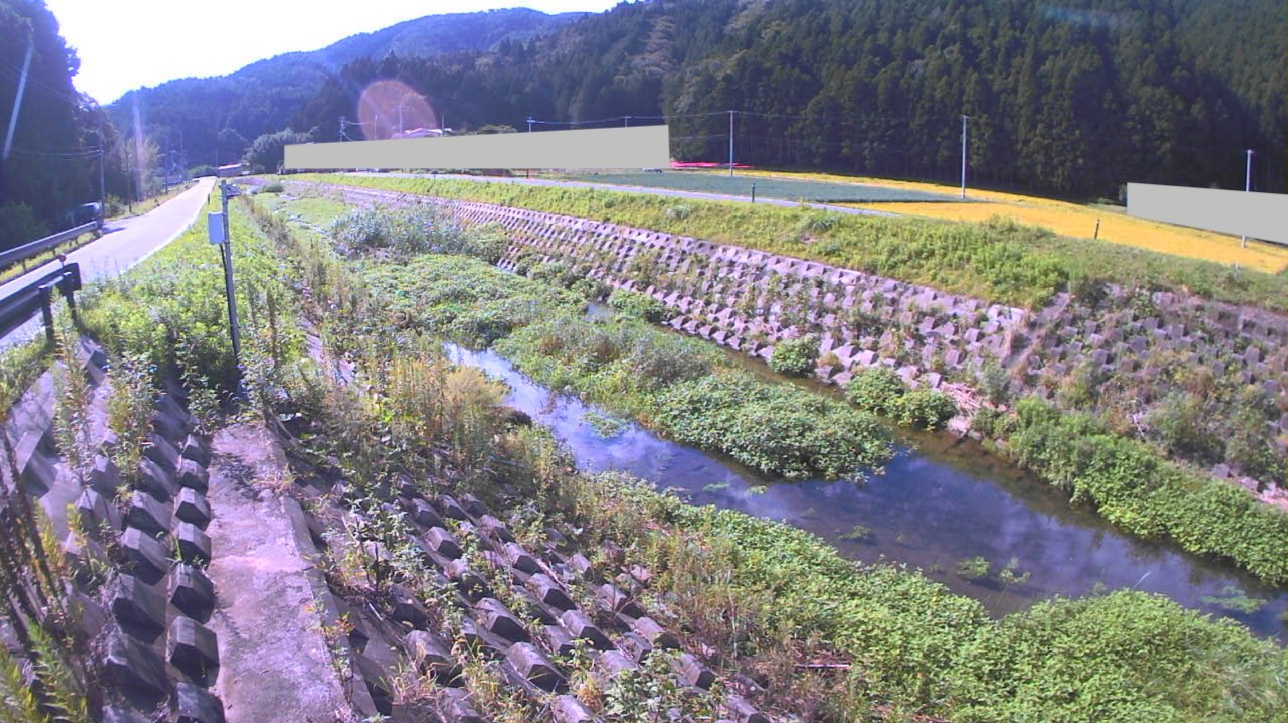 加茂川福地ライブカメラ(宮城県石巻市福地)