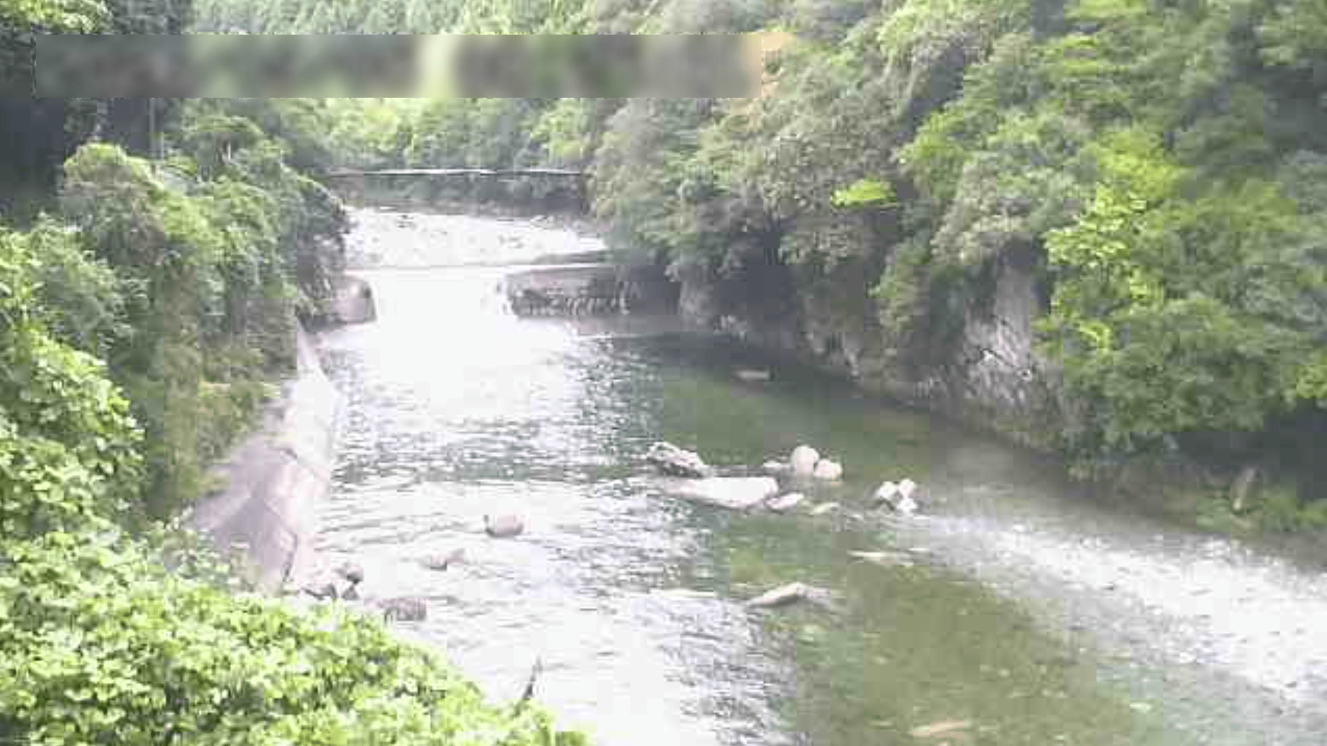 加茂川細野バス停ライブカメラ(愛媛県西条市中奥)