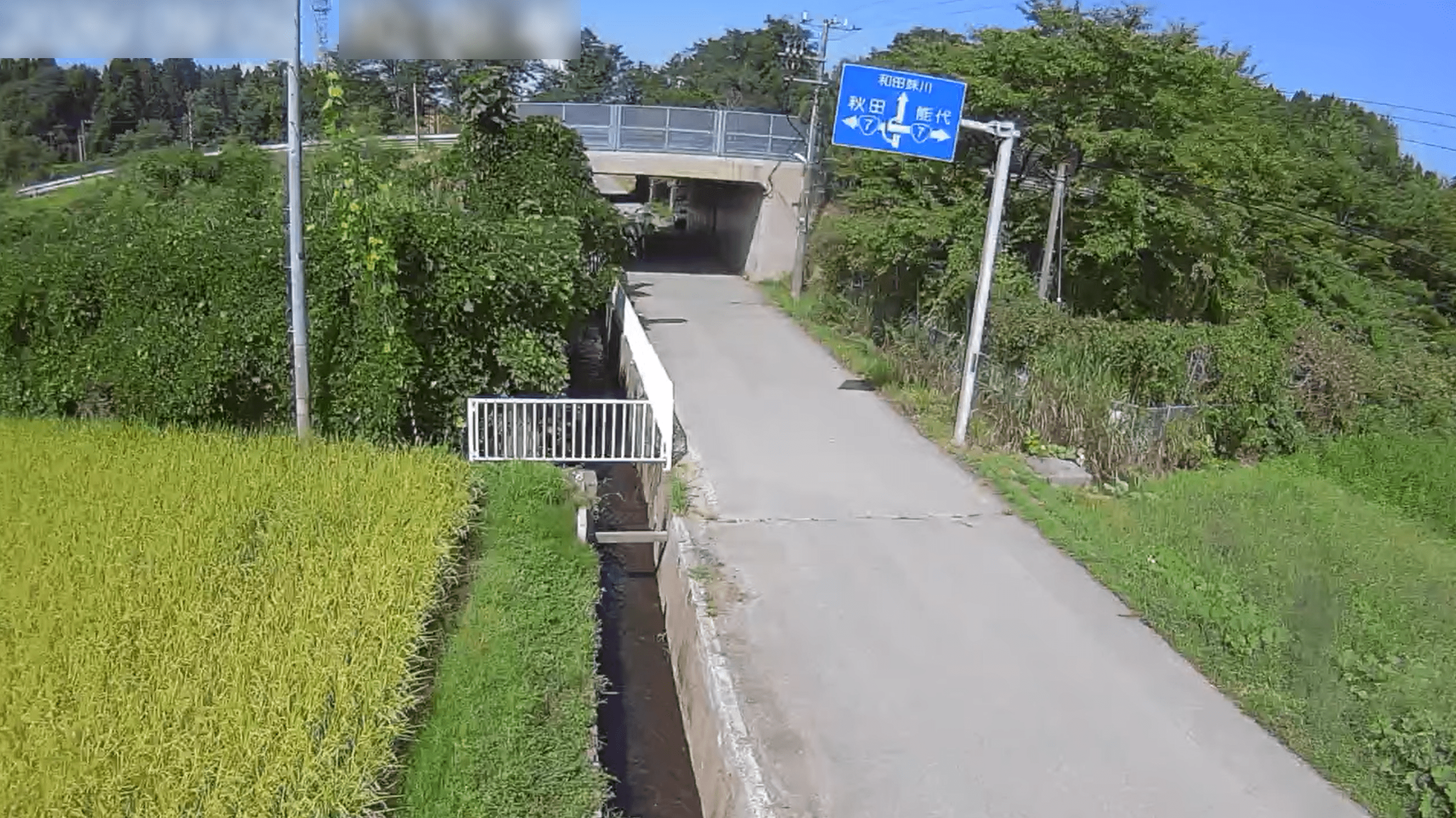 金山アンダーパスライブカメラ(秋田県潟上市飯田川和田妹川)
