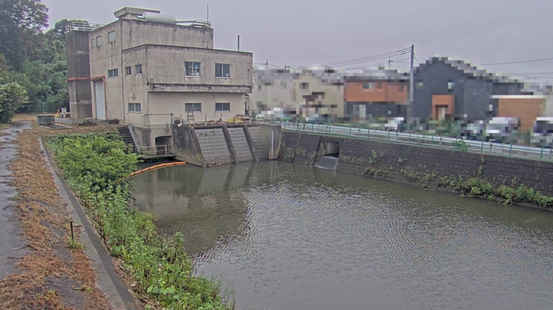 柏ビレジ第3調整池ライブカメラ(千葉県柏市花野井)