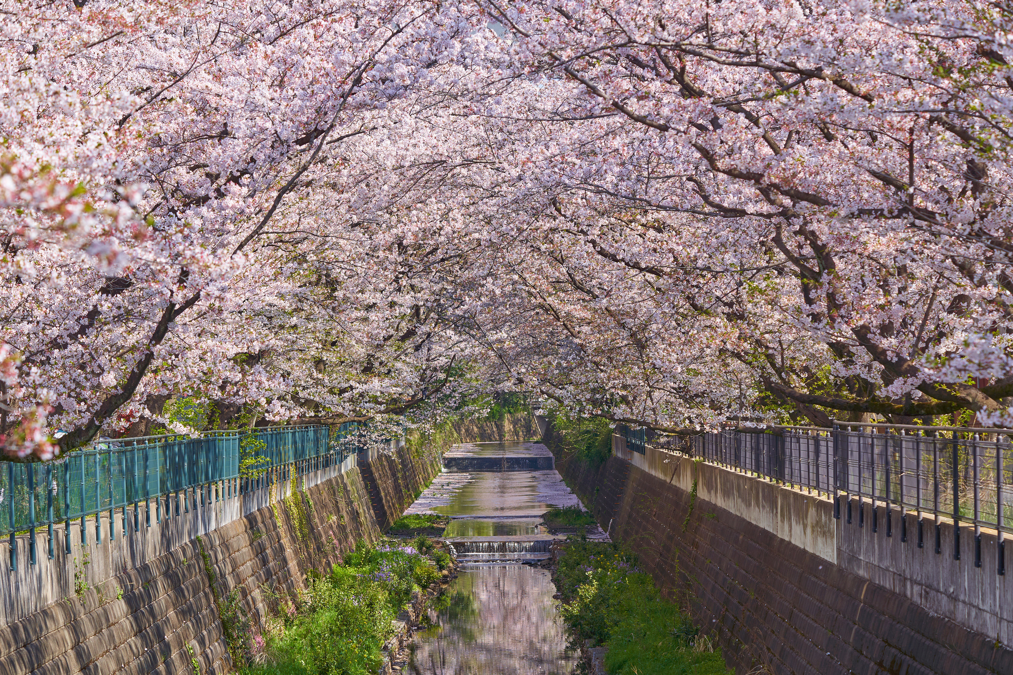片平川(鶴見川水系)ライブカメラ一覧