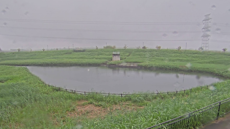 川端調整池ライブカメラ(千葉県柏市小青田)