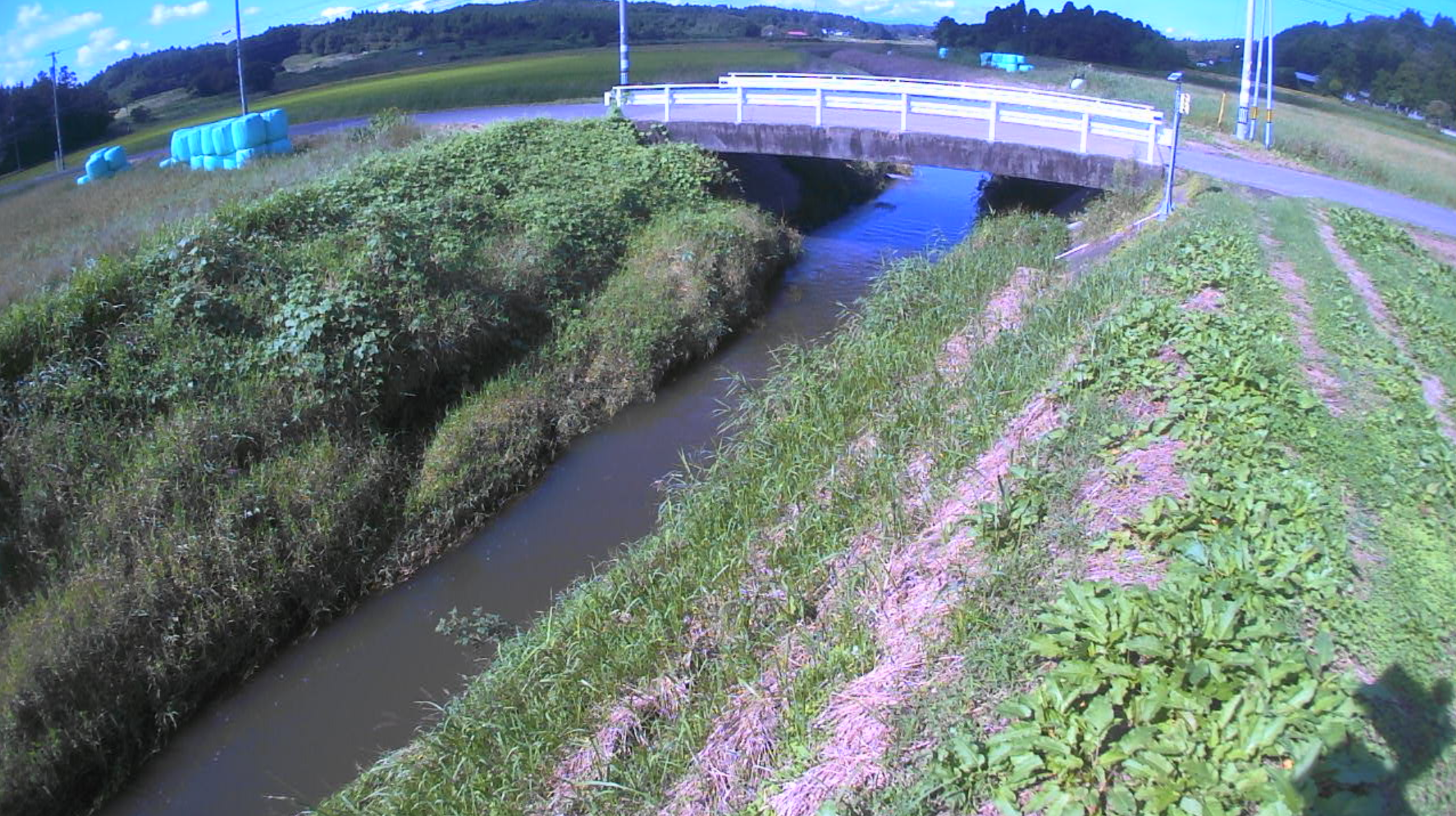 金生川泉沢橋ライブカメラ(宮城県栗原市栗駒泉沢)