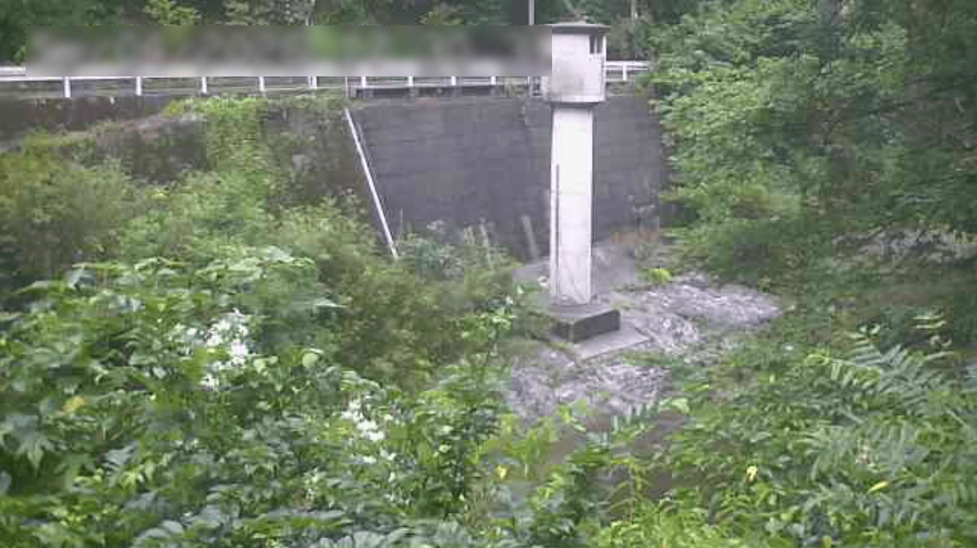 鞍瀬川一本木橋ライブカメラ(愛媛県西条市丹原町鞍瀬)