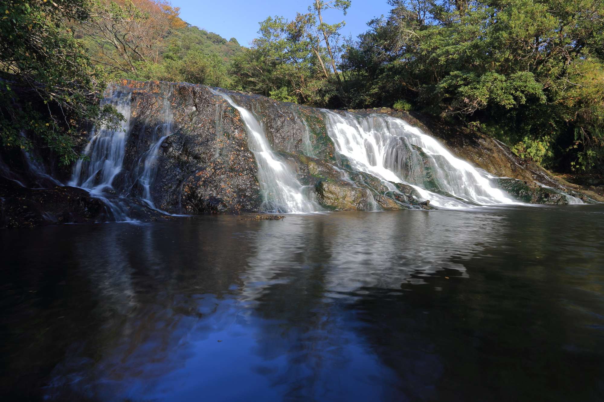 待崎川(待崎川水系)ライブカメラ一覧
