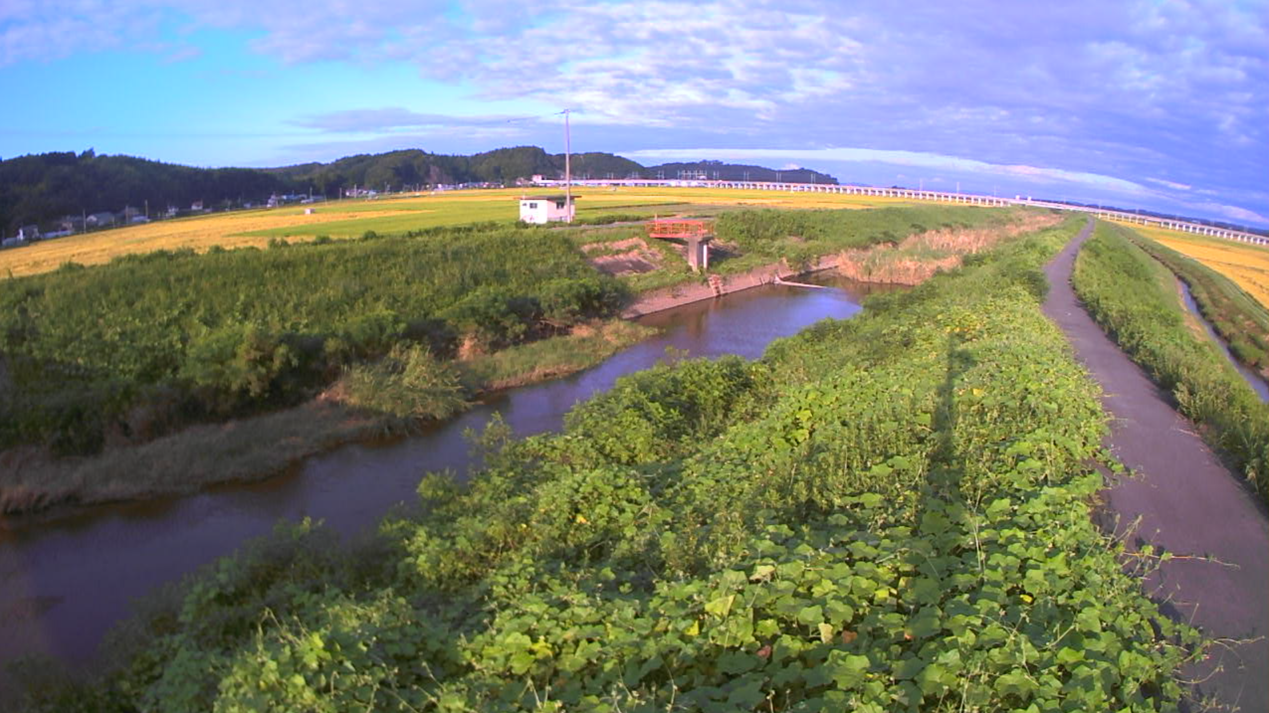 身洗川落合桧和田ライブカメラ(宮城県大和町落合桧和田)