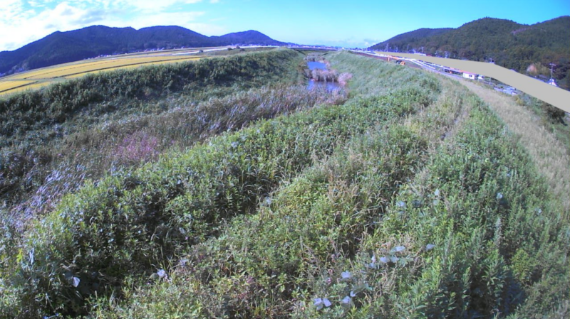 中島川中島ライブカメラ(宮城県石巻市中島)