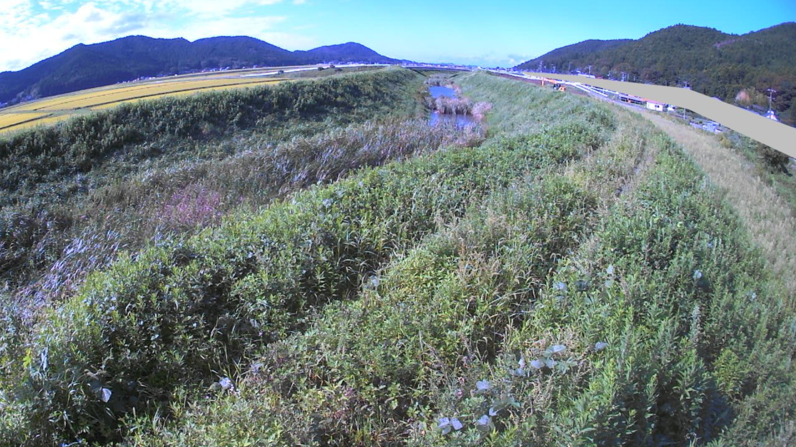 中島川中島ライブカメラ(宮城県石巻市中島)
