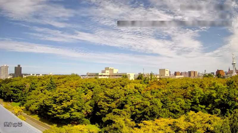 新潟県庁の森ライブカメラ(新潟県新潟市中央区新光町)