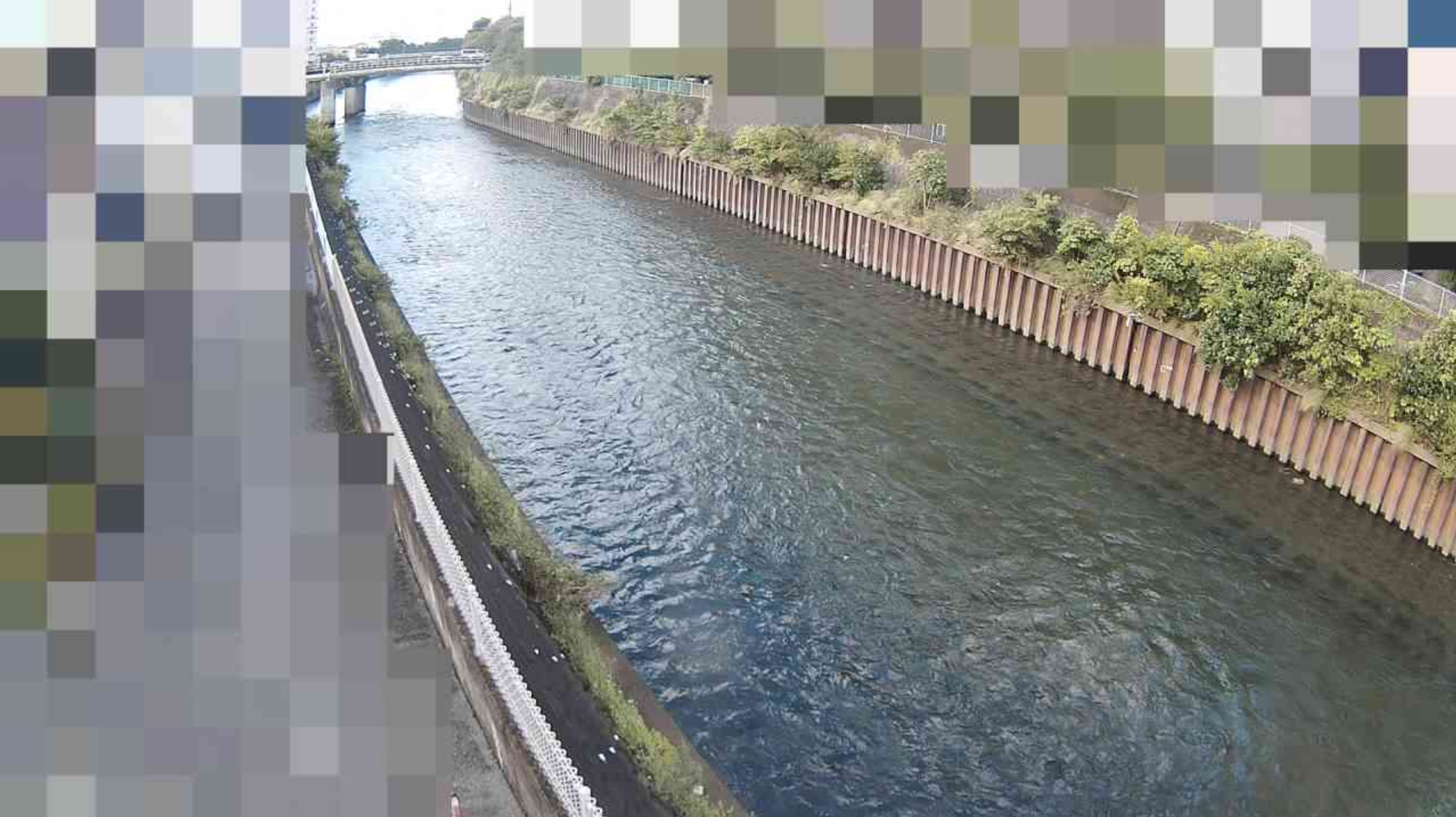 境川新川名橋ライブカメラ(神奈川県藤沢市川名)