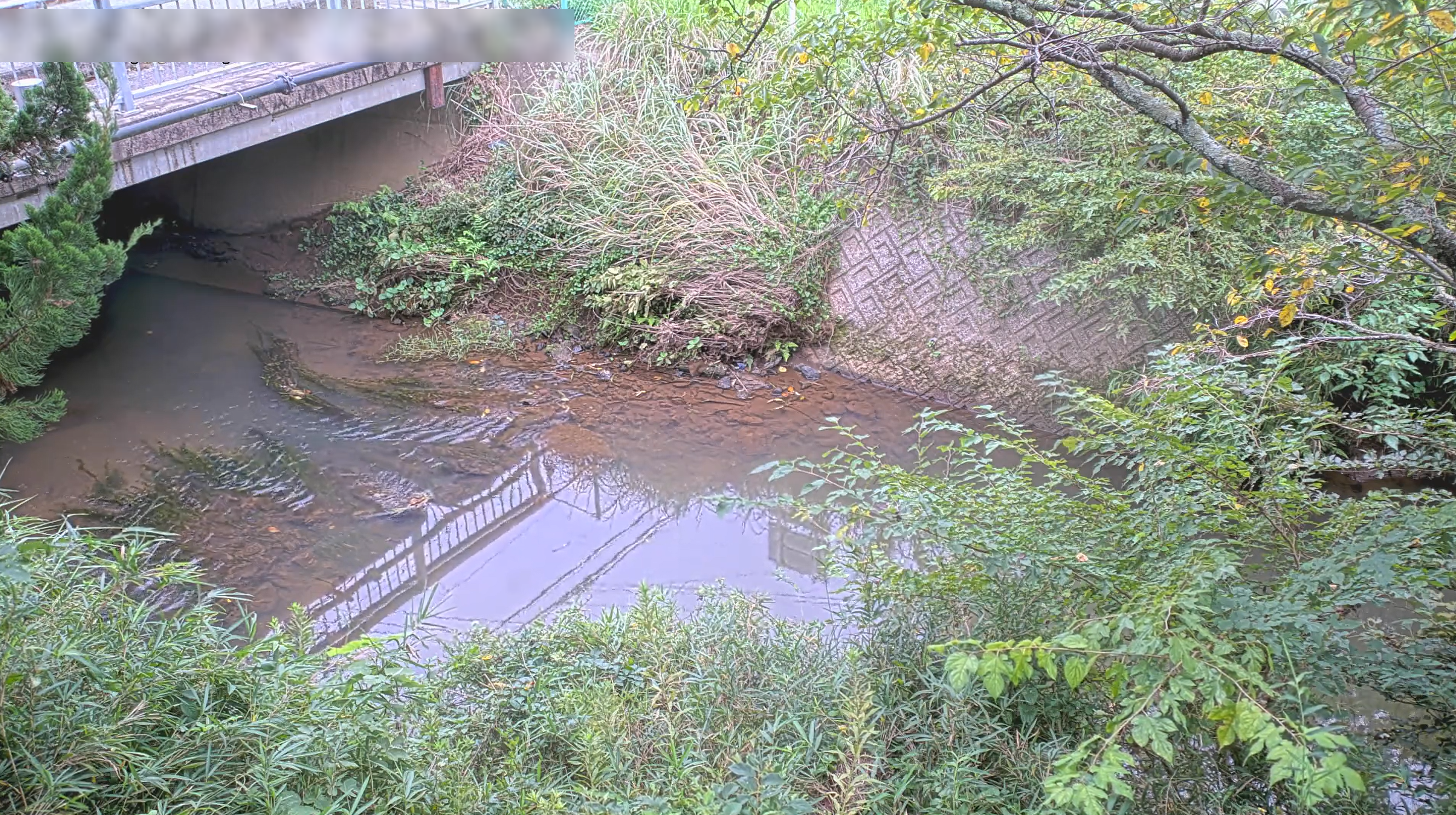 作田川日向橋ライブカメラ(千葉県山武市椎崎)