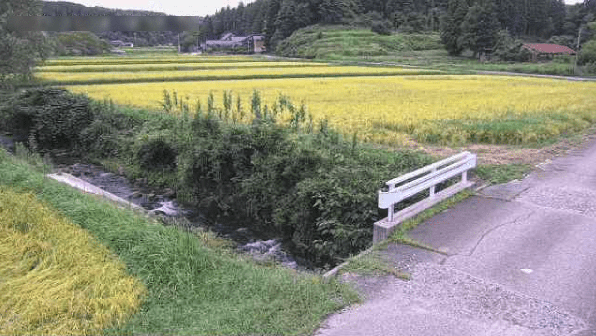 富来川支流尊保ライブカメラ(石川県志賀町尊保)