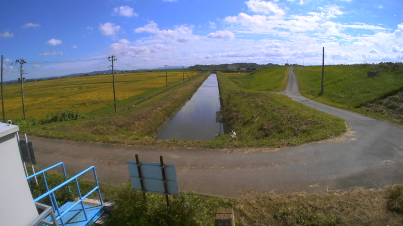 鶴田川山王江排水樋管ライブカメラ(宮城県松島町幡谷)