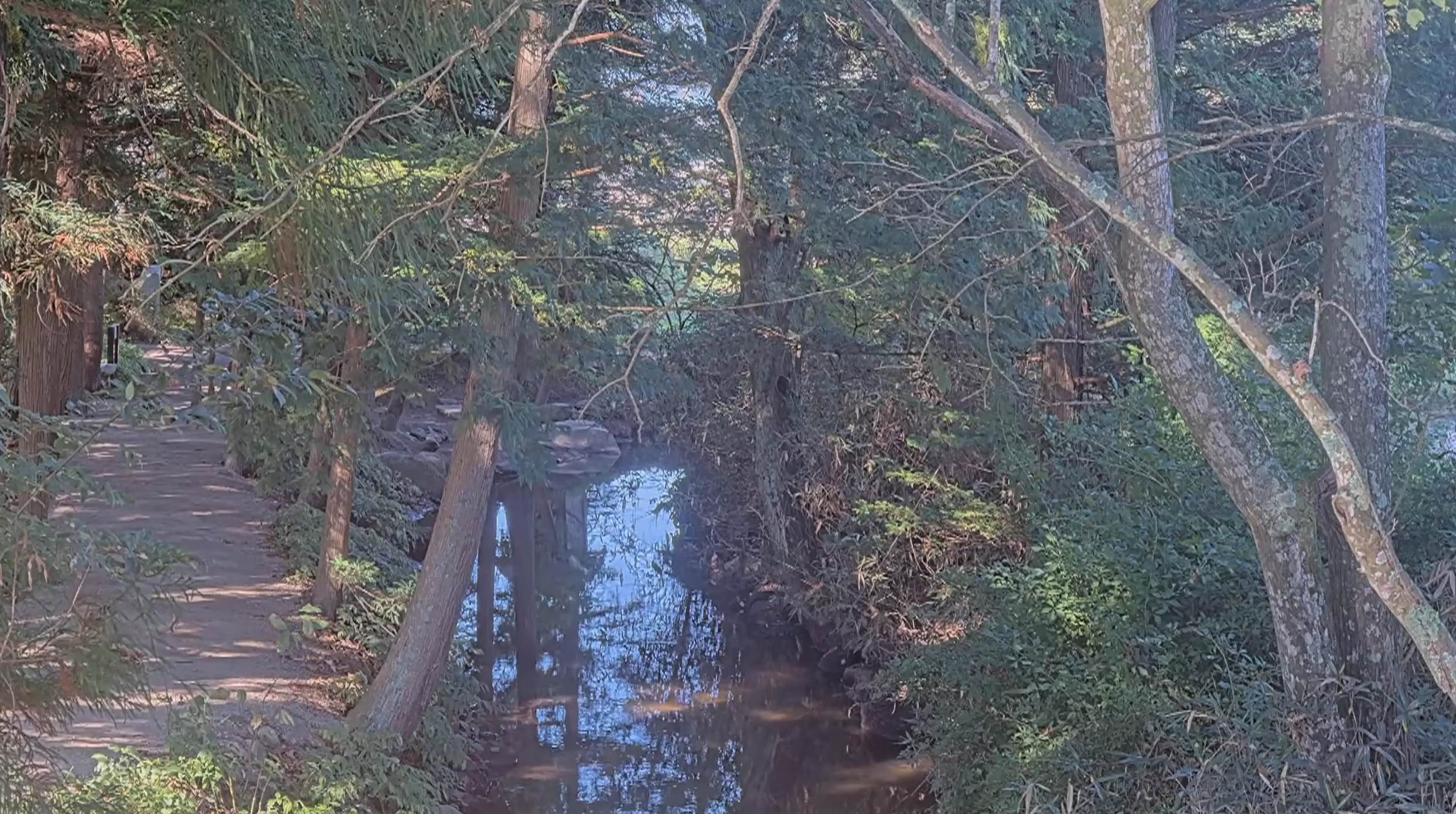 遠野かっぱ淵ライブカメラ(岩手県遠野市土淵町土淵)
